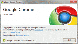 About Google Chrome 5