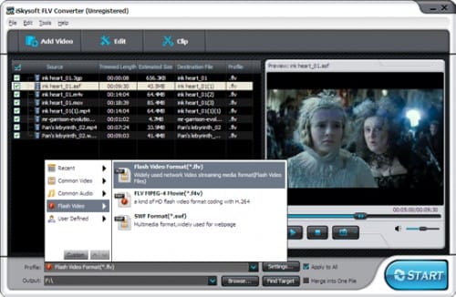 flv-converter-guide