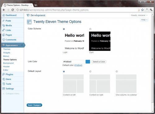WordPress 3.2 Twenty Eleven Theme options
