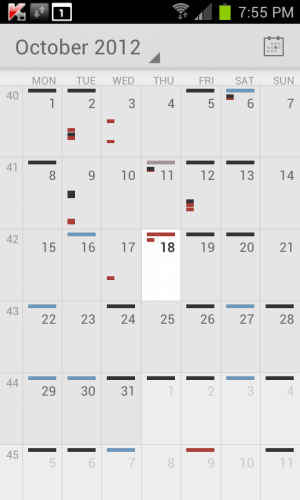 Official Google Calendar App