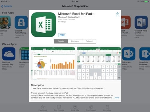 Microsoft Excel for iPad